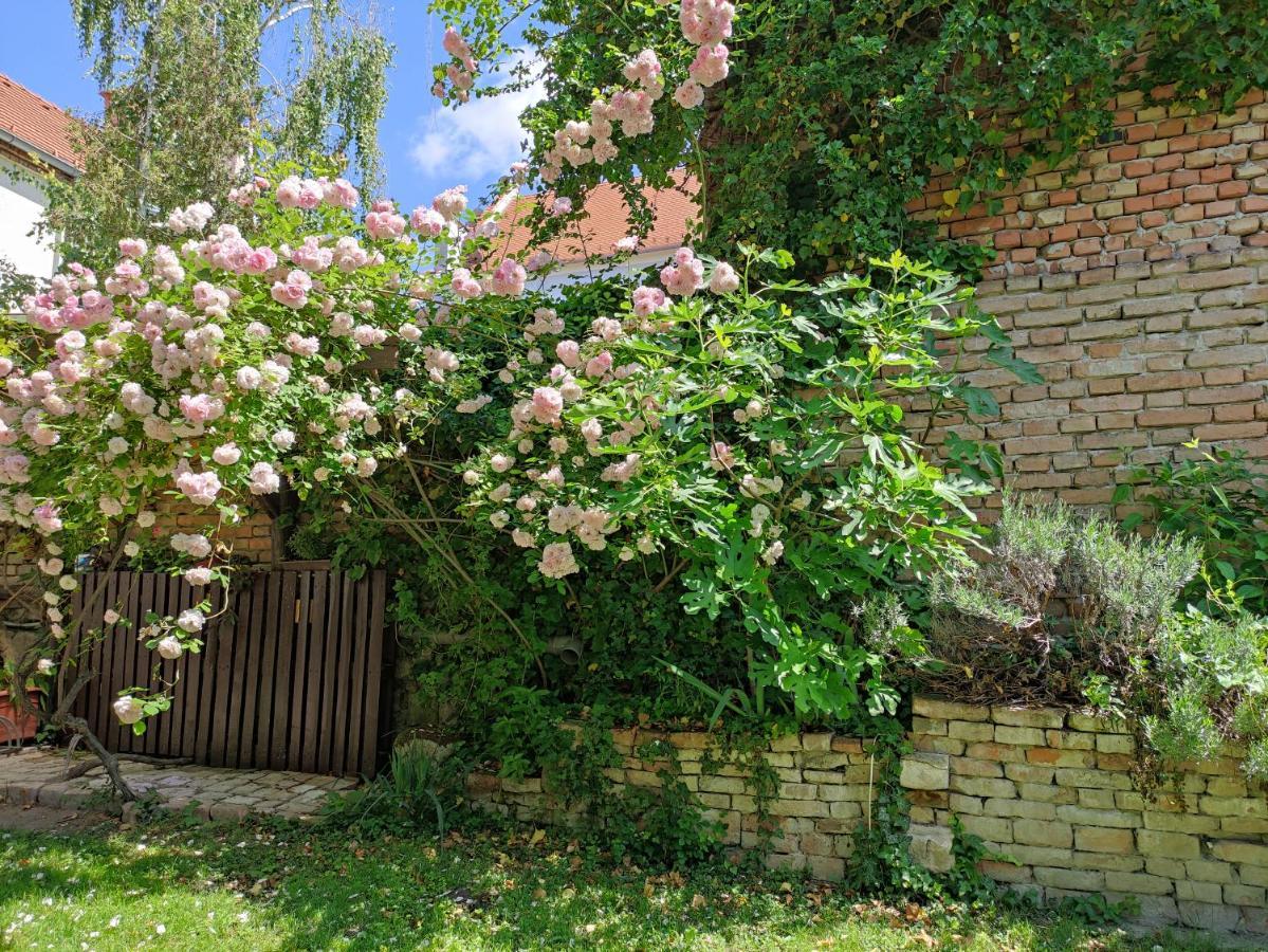 Patak28 Apartmanok Sopron Exterior foto